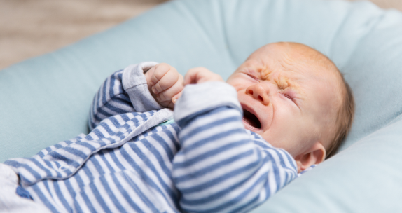 El período de incubación dura aproximadamente 2 días.3